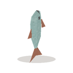 生鱼